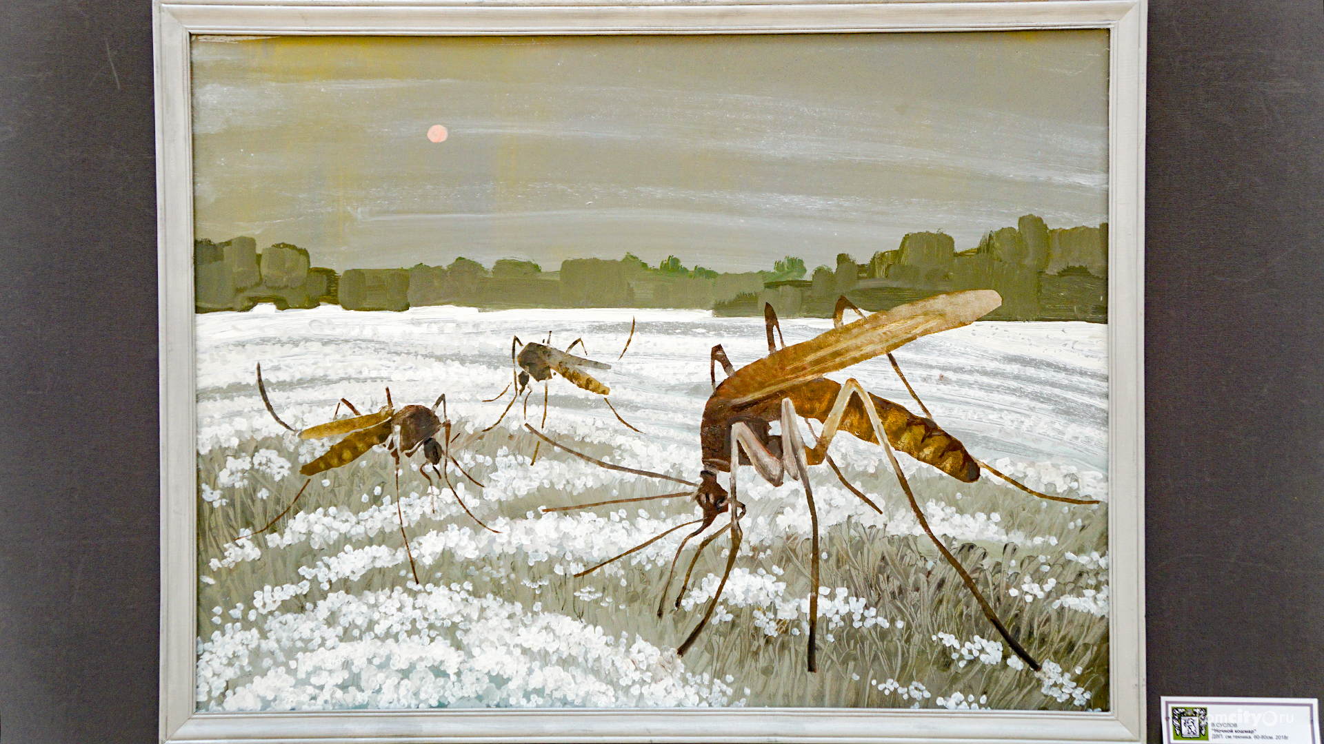 Огромные комары и водные картины представлены на авторской выставке Валерия Суслова Комсомольске-на-Амуре