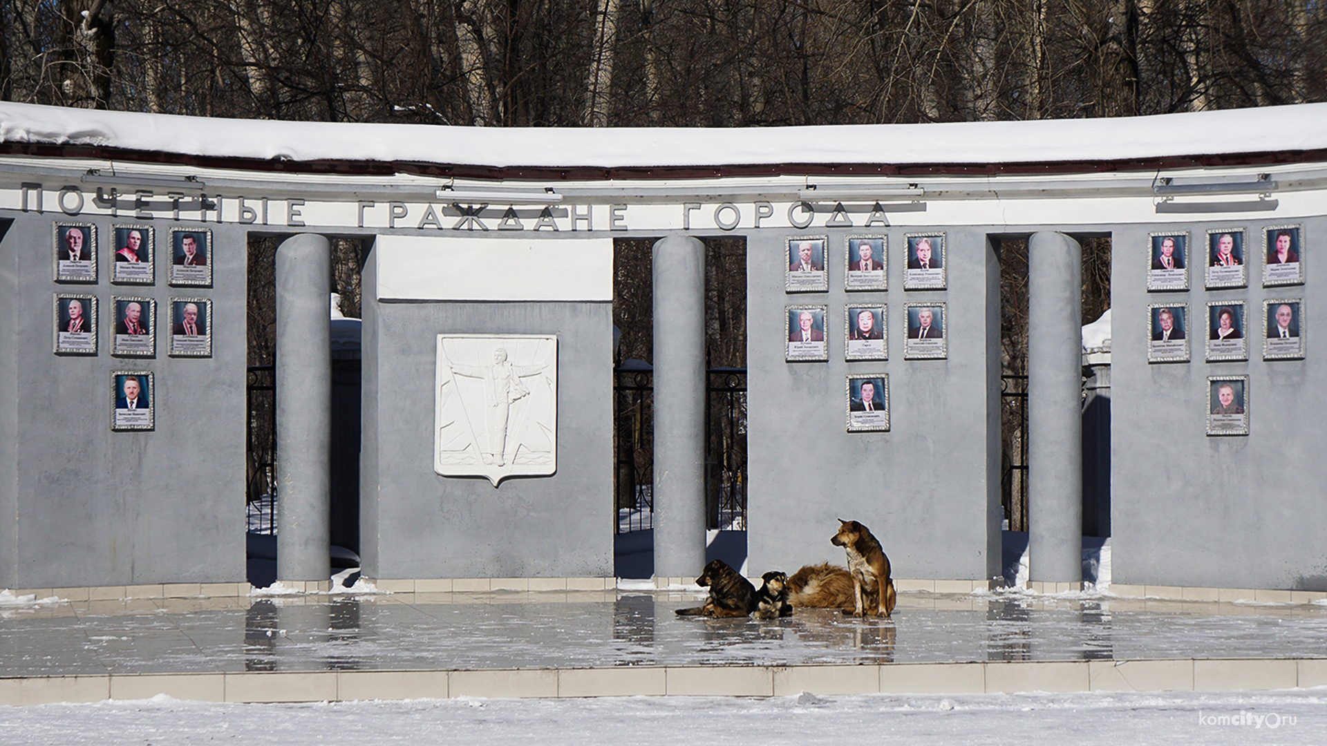 В Комсомольске-на-Амуре будут экономить на почётных гражданах