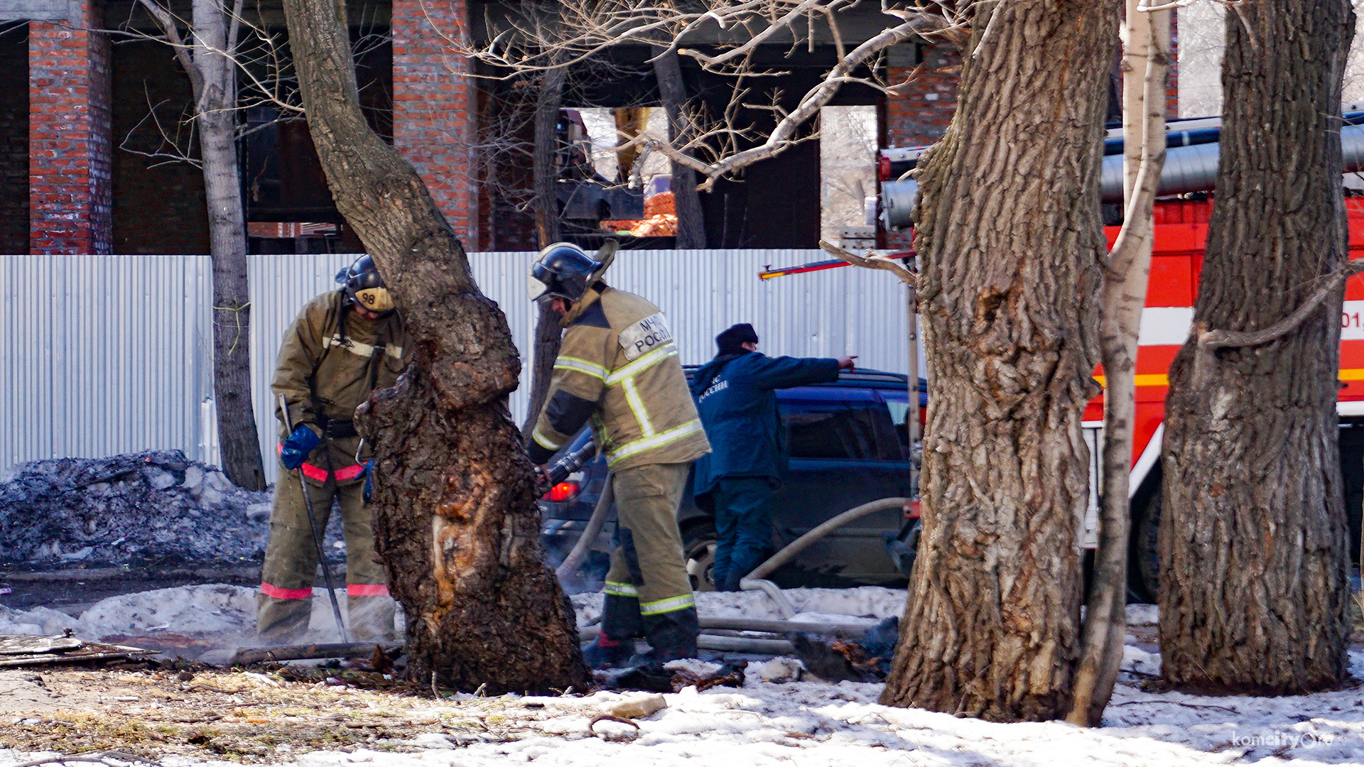 Пожарные Комсомольска-на-Амуре потушили самовоспламенившееся дерево