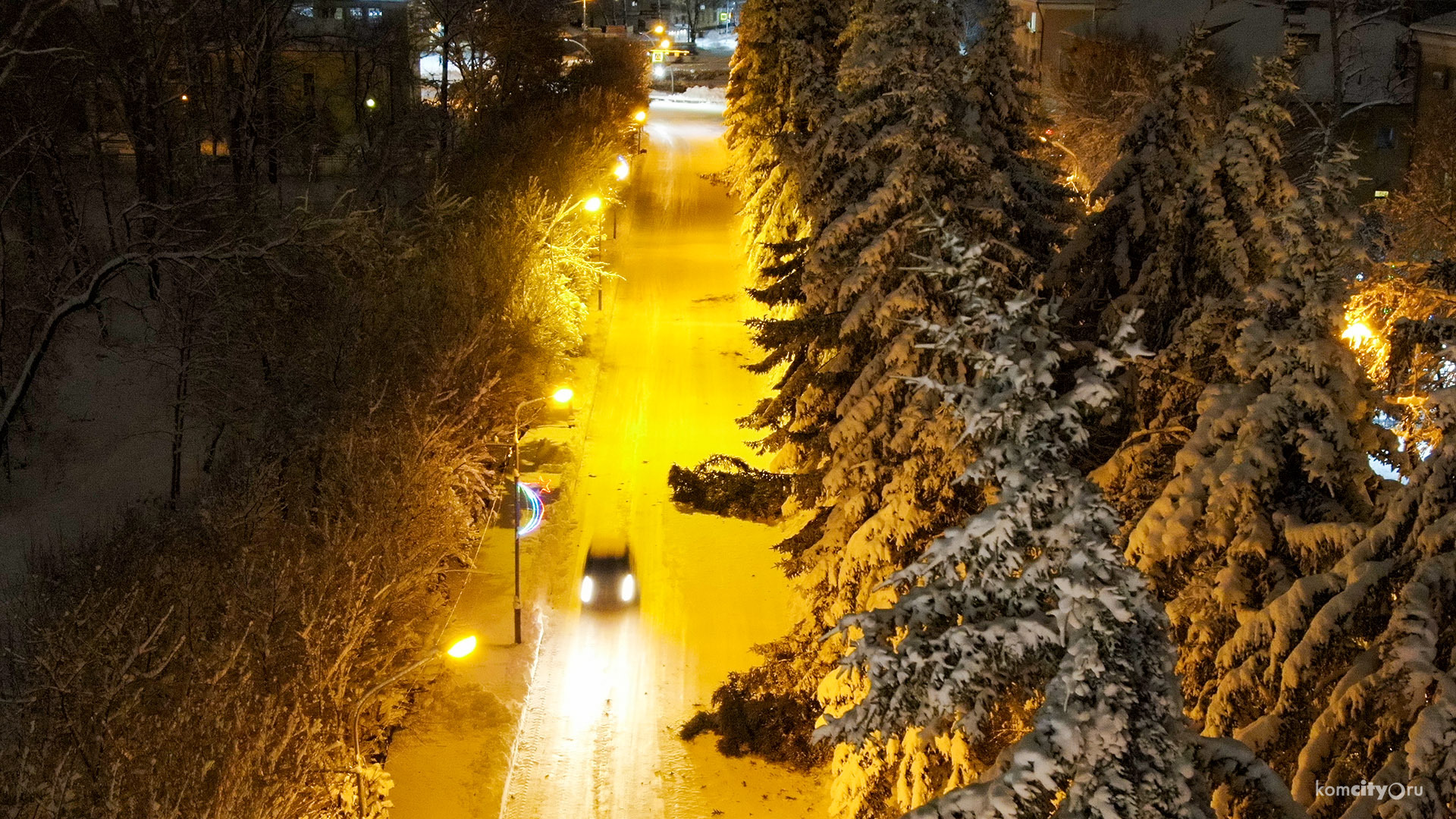 Тяжёлый мокрый снег повалил ели у администрации Комсомольска-на-Амуре