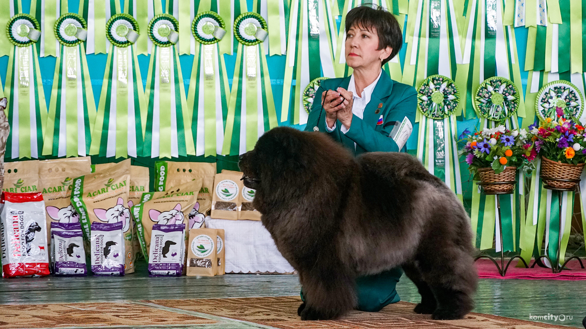 163 собаки участвует во всепородной выставке в Комсомольске-на-Амуре