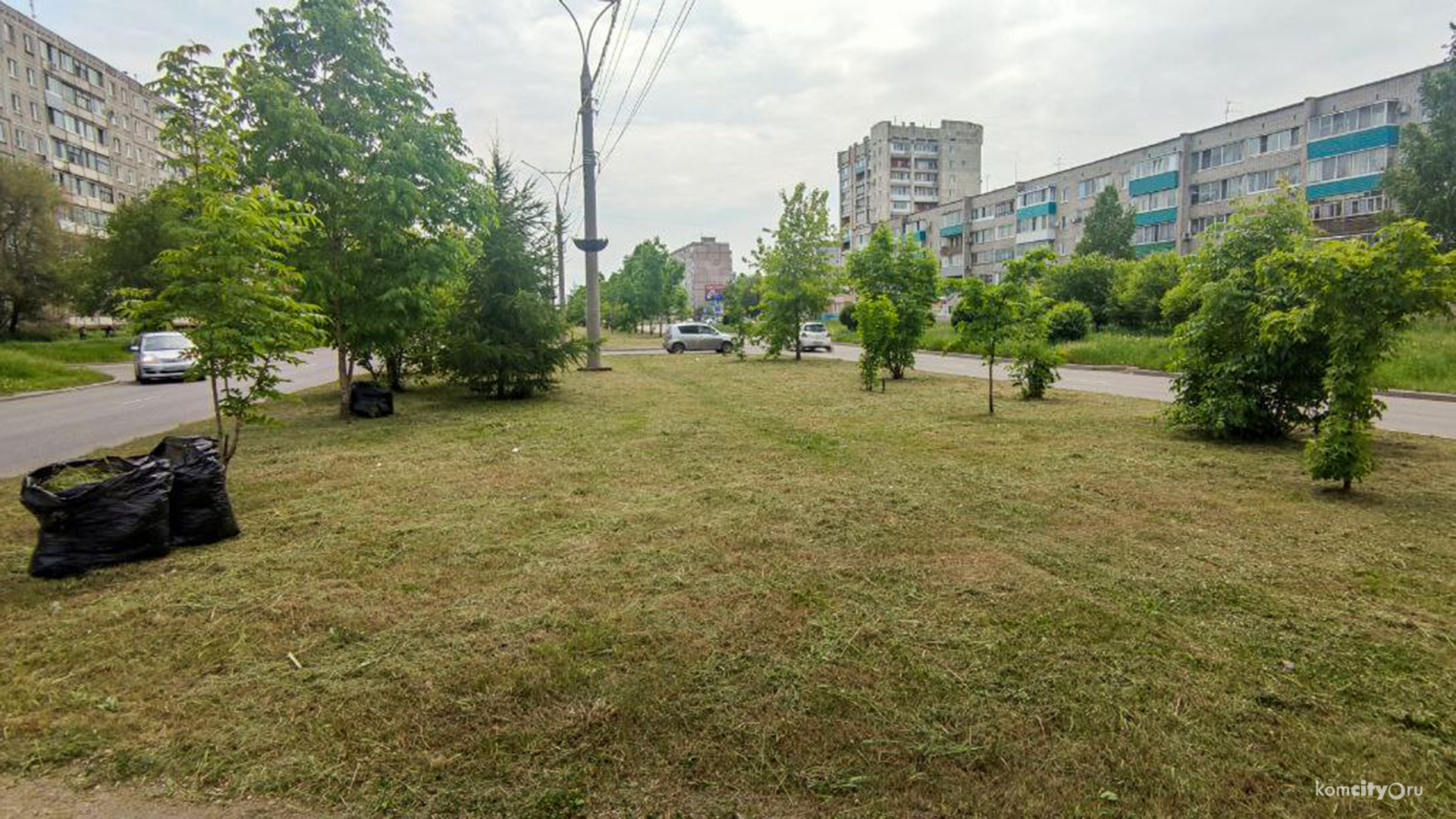 Подрядчик ответил на критику главы города по ситуации с покосом травы в Комсомольске-на-Амуре — и всё оказалось куда занятнее…