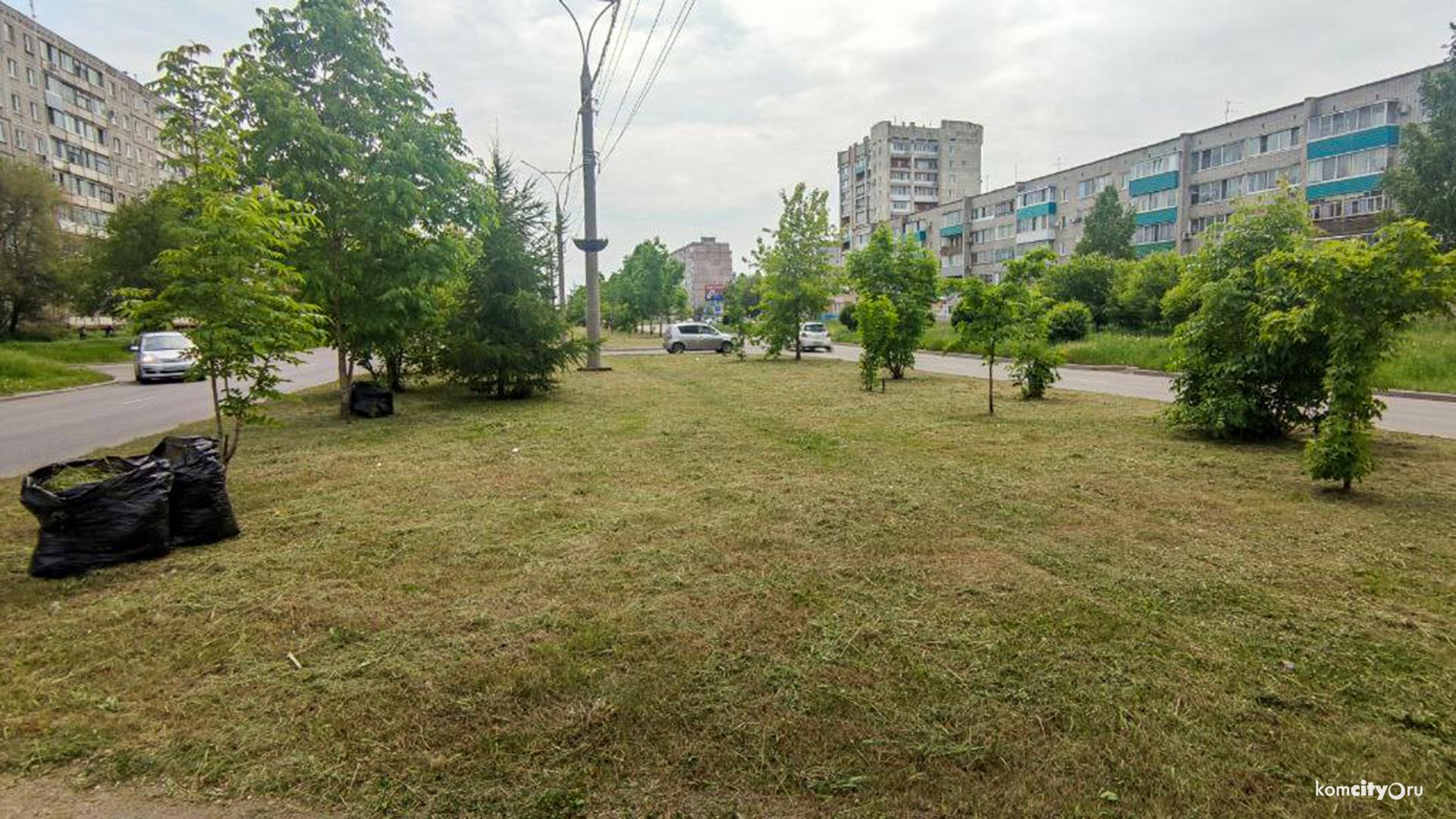 Судебный спор о траве завершился провалом администрации Комсомольска-на-Амуре